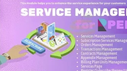 Service Management module for Perfex CRM