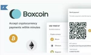 Boxcoin – Crypto Payment Script (Nulled)