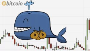 Crypto whale watcher Script