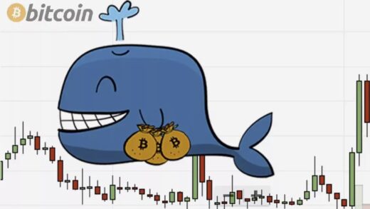 Crypto whale watcher Script