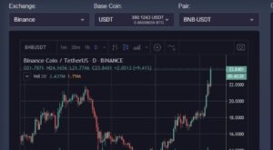 SoftWare Turkish Crypto Exchange Bot