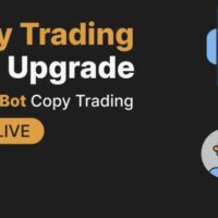 Bybit telegram bot copy orders SoftWare