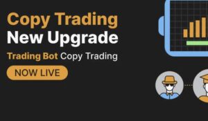 Bybit telegram bot copy orders SoftWare
