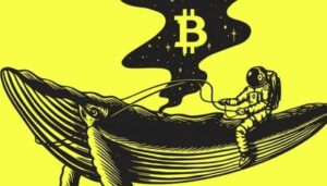 Python Telegram bot to trade
