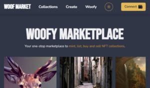 NFT Marketplace Software Platform - Source code