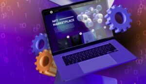 Software NFT Marketplace Script website
