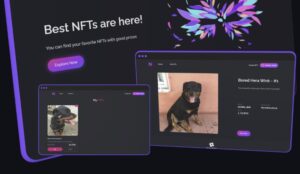 Full stack NFT Marketplace application Software for developers
