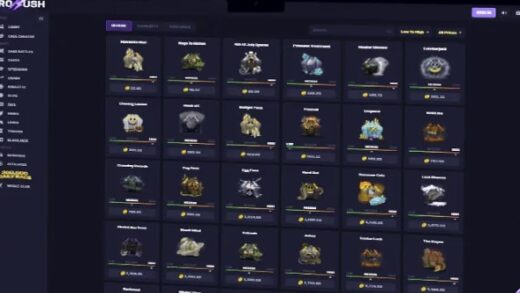 Rorush – Gambling Casino Platform Script Download