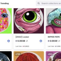 Script NFT Marketplace solution allows you to create and sell digital collectibles