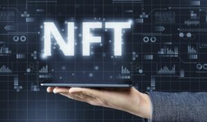 NFT Contracts Software