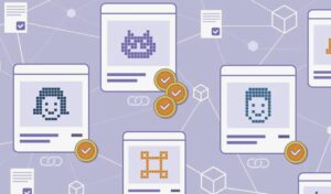 NFT marketplace website Script SoftWare