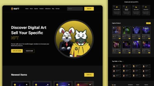 Download script is a fully responsive nft marketplace website