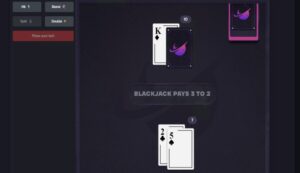 Casino Script Platform